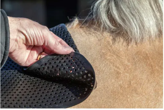 Acavallo Light Weight Anti-Slip Gel Pad