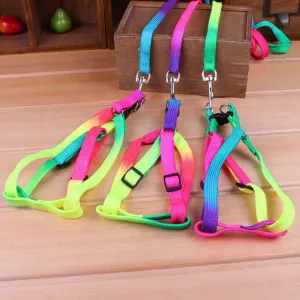 Adjustable Rainbow Color Pet Leash Nylon Leash Harness Collar Lead