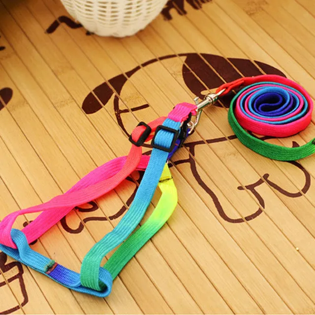 Adjustable Rainbow Color Pet Leash Nylon Leash Harness Collar Lead