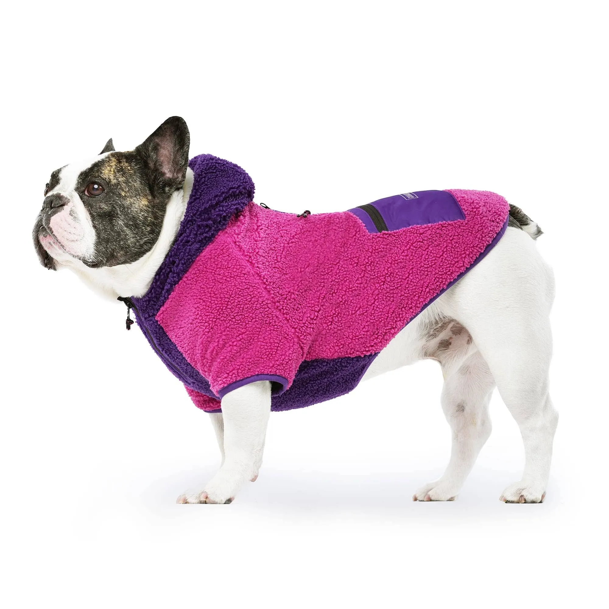 Canada Pooch Cool Factor Performance Dog Hoodie