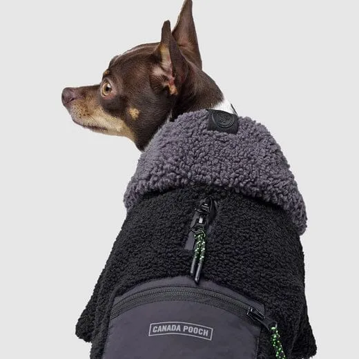 Canada Pooch Cool Factor Performance Dog Hoodie