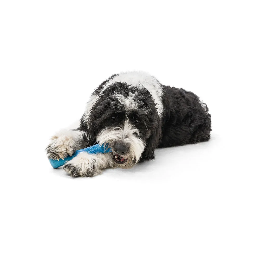 Drifty Seaflex Dog Bone Chew Toy