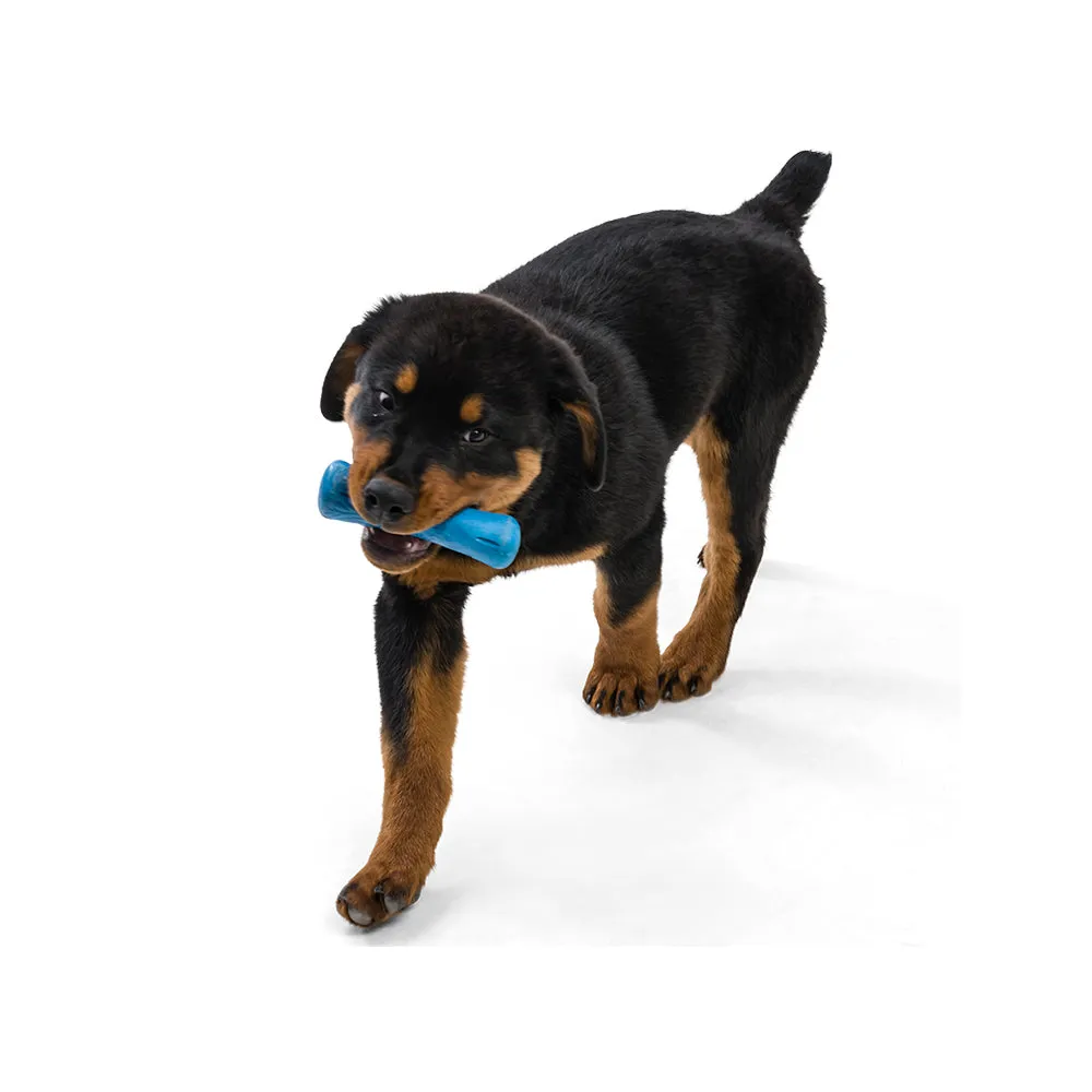 Drifty Seaflex Dog Bone Chew Toy