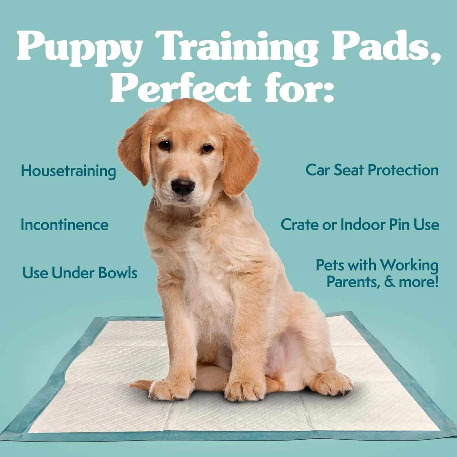 Extra Large Pee Pads for Dogs, XL Puppy Potty Training Pee Pad, 6 Layers Thick, Instashield Absorbent, Attracts Dogs, Leak Proof, Odor Neutralizing, Disposable, XLARGE 28"X30", 200Ct