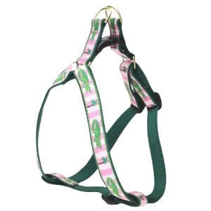 Harness | Alligator