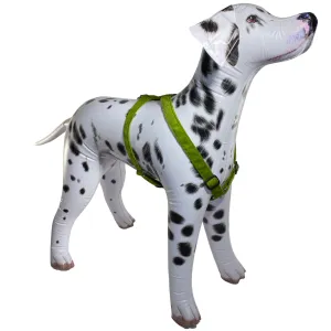 Hemp Dog Harness AVOCADO Corduroy