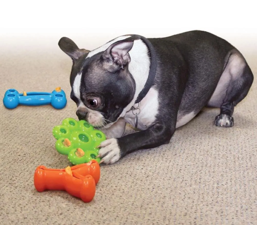 KONG Quest Starpod Treat Dispensing Dog Toy