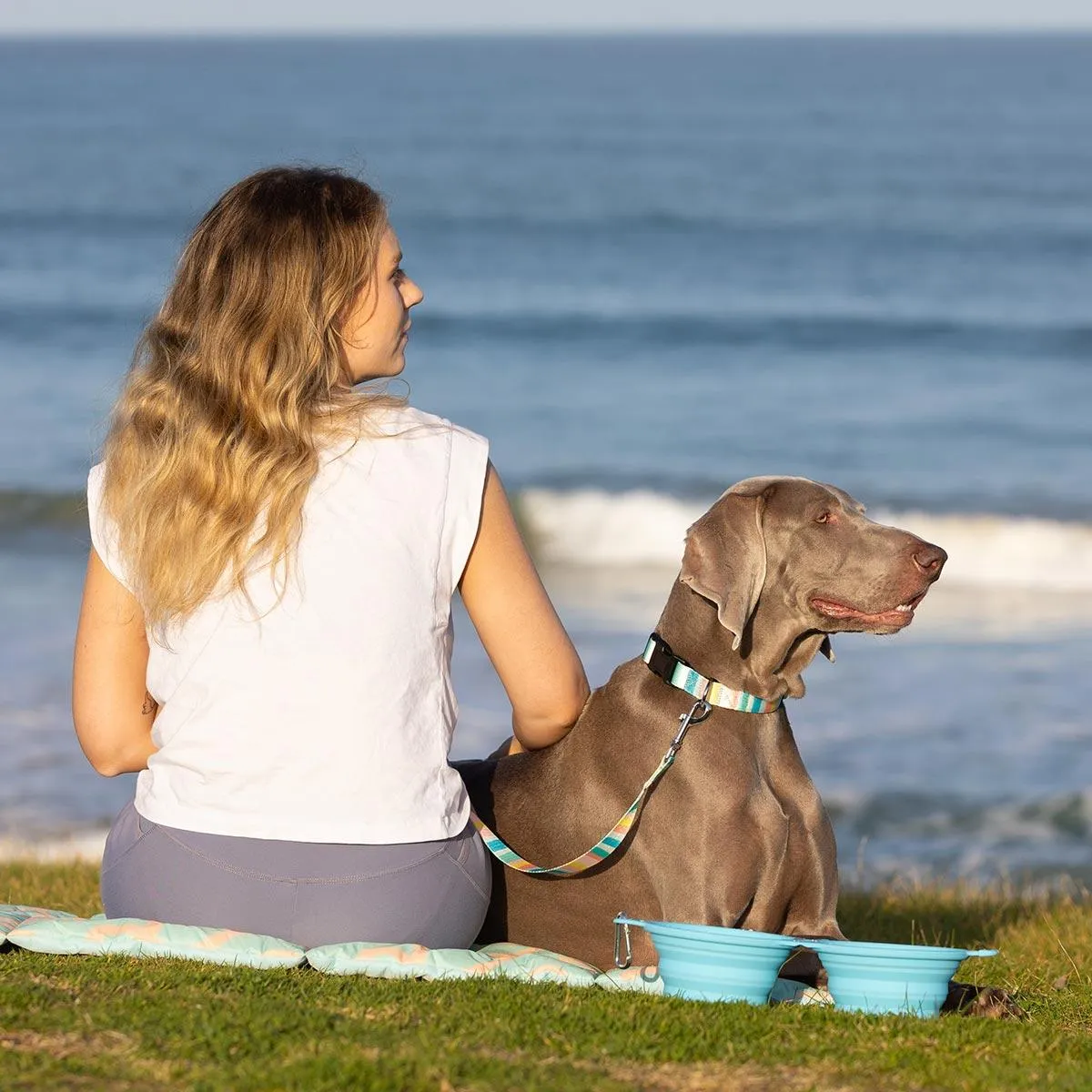 Lexi & Me Double Collapsible Travel Dog Bowl Blue