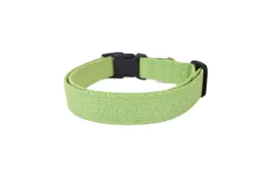 Modern Lime Green Geometric Lines Dog Collar