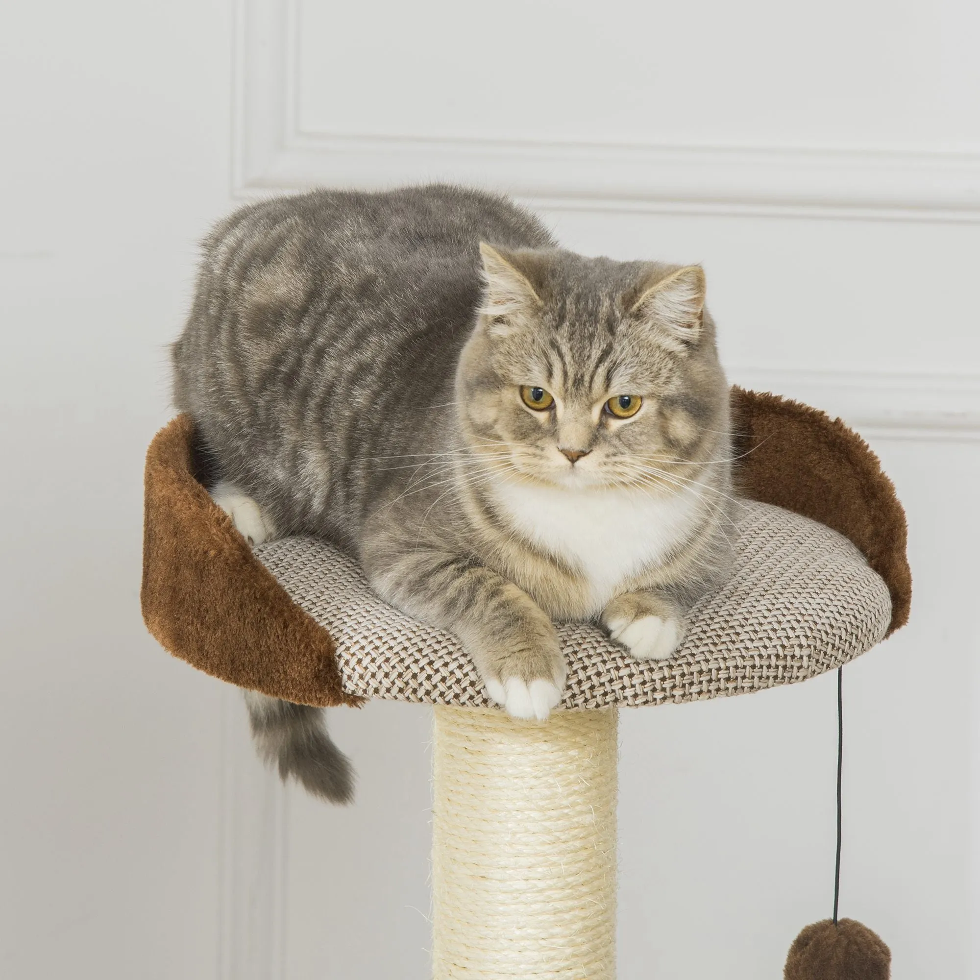 PawHut Cat Tree Tower Activity Centre w/ Cat House, Bed, Sisal Post, Hanging Toy