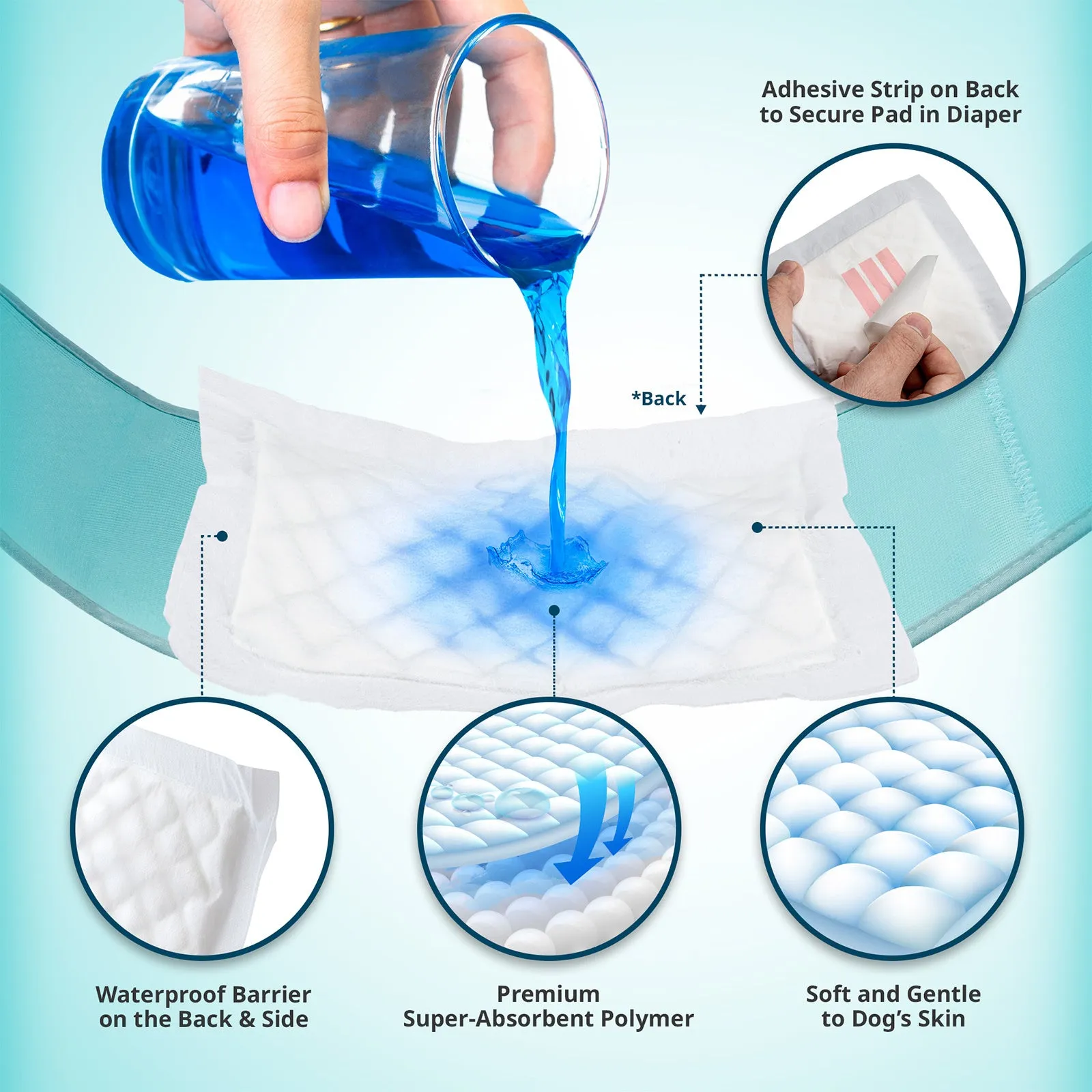 PawPang M Dog Wrap Reusable Male   10 Ct M Diaper Booster Pads Disposable
