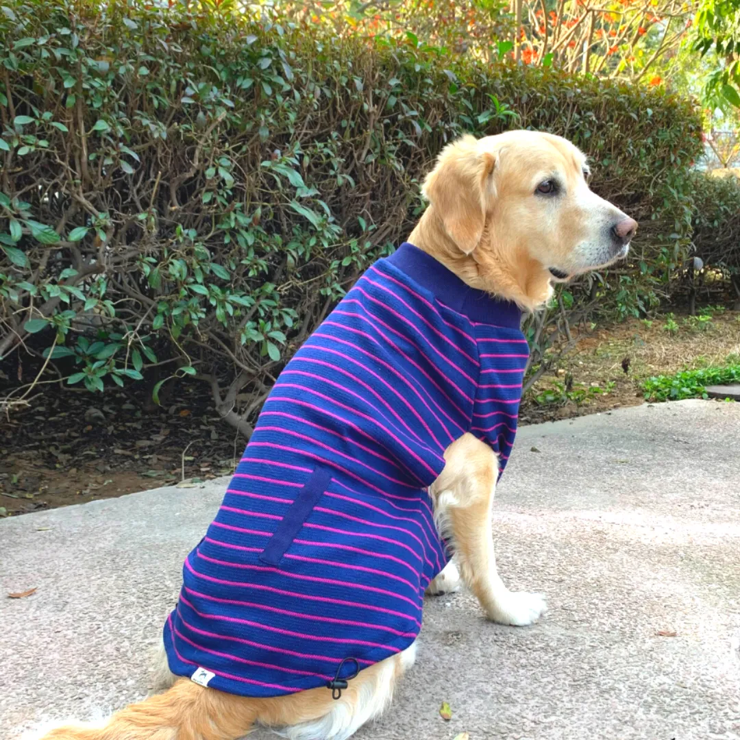 PoochMate Navy & Fuchsia Striped Cotton Dog T-Shirt