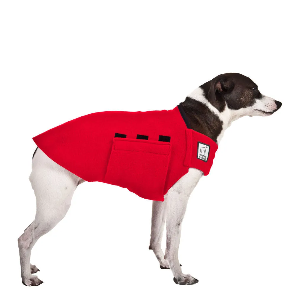 ReCoat ♻️ Rat Terrier Tummy Warmer