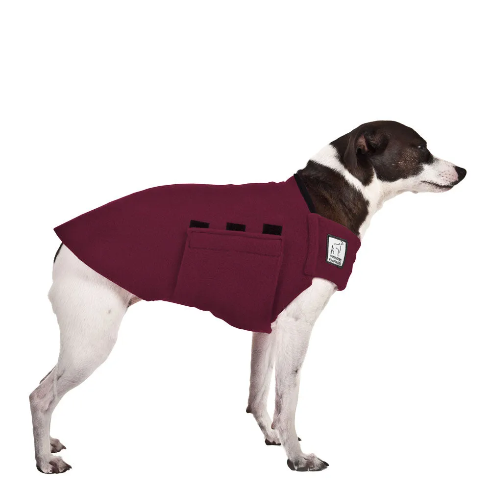 ReCoat ♻️ Rat Terrier Tummy Warmer