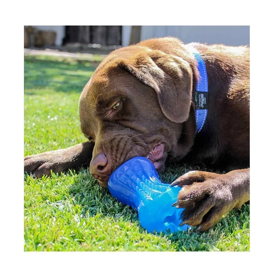 Rogz Yumz Dog Toy Pink