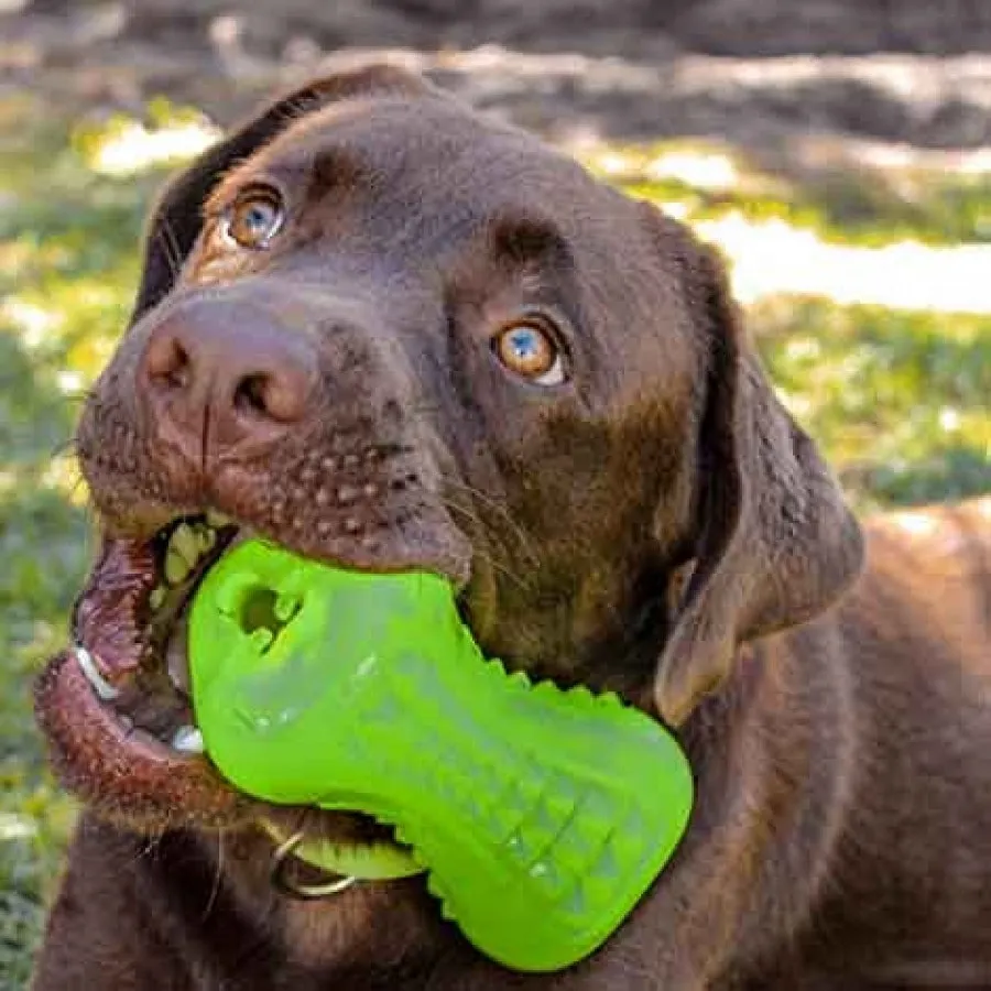 Rogz Yumz Dog Toy Pink