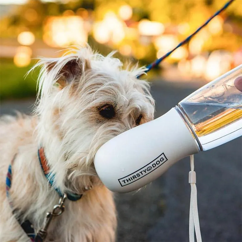 Thirsty Dog Drink Bottle - Black